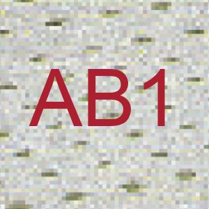 Perforada AB1